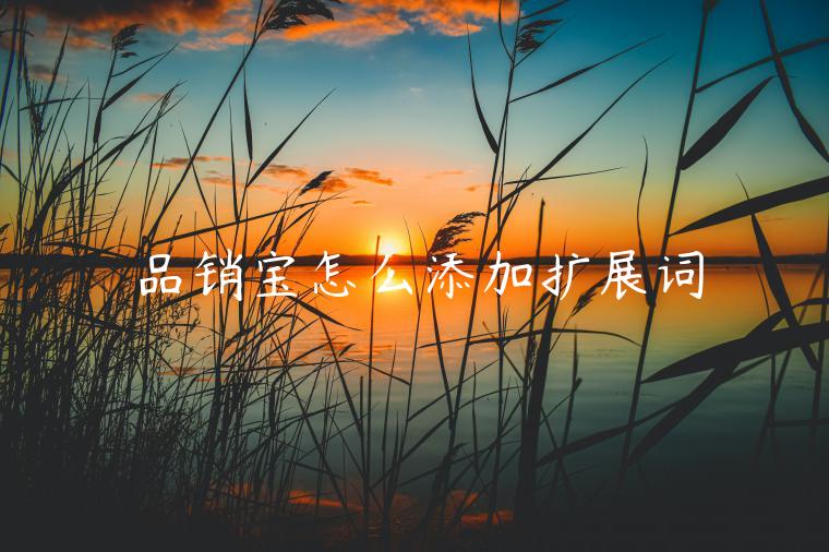 品銷(xiāo)寶怎么添加擴(kuò)展詞